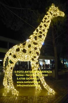 S4706-P1300945