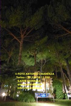 S4706-P1300973
