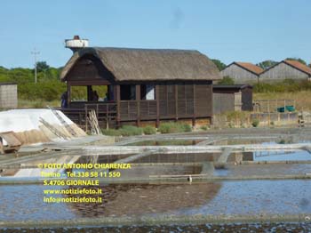S4706-P1310022_Salina_Cervia