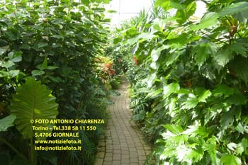 S4706-P1310175_La Casa_delle_Farfalle