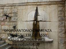 S4573_P1260572