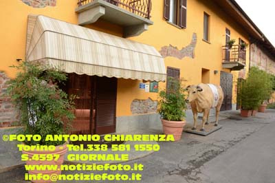 S4597_ACH_5615_Agricola_Scaglia