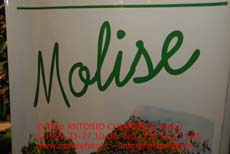 S_1999_015_Regione_Molise