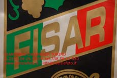 S2153_277_FISAR