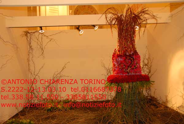 S2222_053_Festival_dei_Fiori_NORVEGIA
