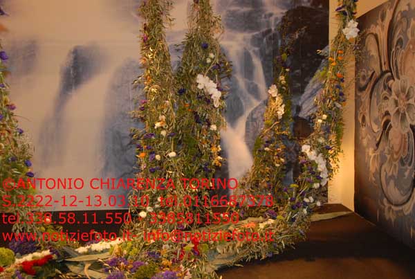 S2222_065_Festival_dei_Fiori_NORVEGIA
