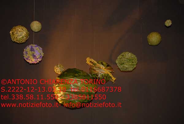 S2222_073_Festival_dei_Fiori_SLOVENIA
