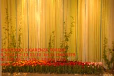 S2222_047_Festival_dei_Fiori_SVEZIA