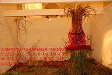S2222_053_Festival_dei_Fiori_NORVEGIA
