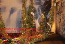 S2222_065_Festival_dei_Fiori_NORVEGIA