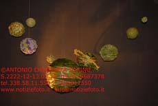 S2222_073_Festival_dei_Fiori_SLOVENIA