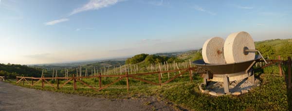 S3377_045_7P_Cantina_Il_Poggio