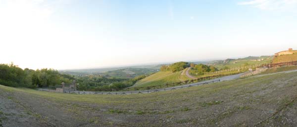S3377_045_8P_Cantina_Il_Poggio