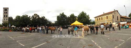 s.1780,pano13,del 08 Luglio 2007,Fiera dei Cavalli a Ivrea-TO