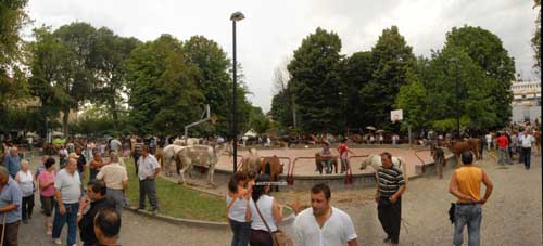 s.1780,pano14,del 08 Luglio 2007,Fiera dei Cavalli a Ivrea-TO