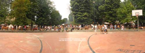 s.1780,pano16,del 08 Luglio 2007,Fiera dei Cavalli a Ivrea-TO