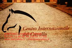 S2125_061_Centro_Internazionale_Ccavallo