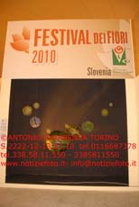 S2222_072_Festival_dei_Fiori_SLOVENIA