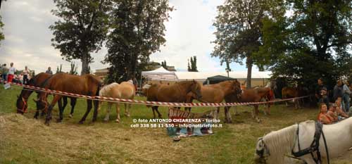 s.1780,pano02, del 08 Luglio 2007,Fiera dei Cavalli a Ivrea-TO
